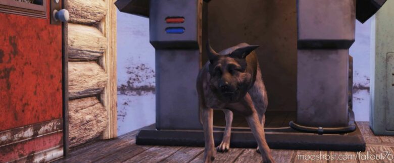 Dogmeat Collectron Replacement Mod for Fallout 76