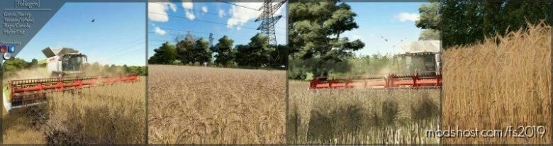 Realistic Foliagen V2.0 for Farming Simulator 19