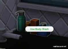 Sims 4 Object Mod: Decor With A Purpose: Functional Shower Supplies (Image #5)