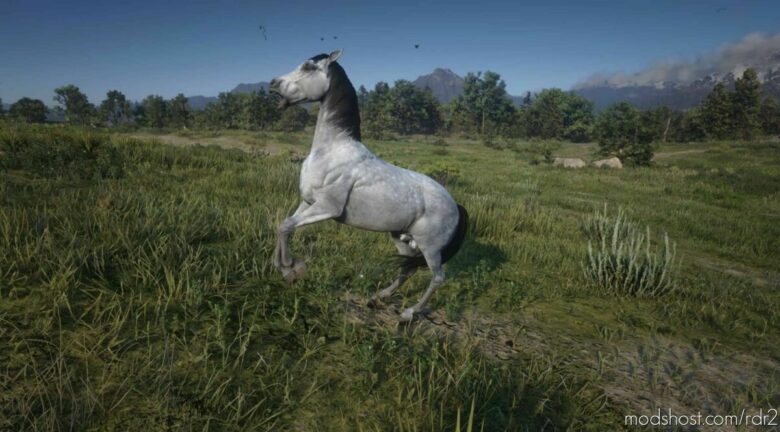 Arabians for Red Dead Redemption 2