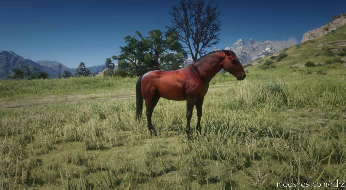 Mustangs Red Dead Redemption 2 Mod - ModsHost