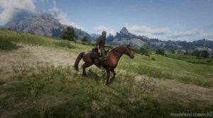 RDR2 Mod: Missouri FOX Trotters (Image #4)