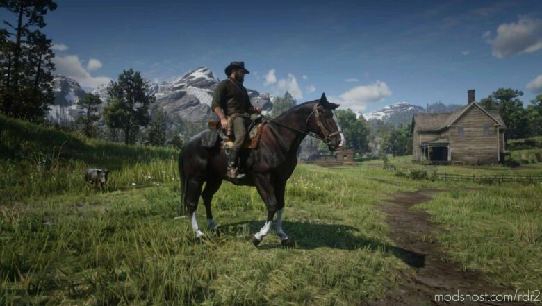 American Quarter Horse for Red Dead Redemption 2