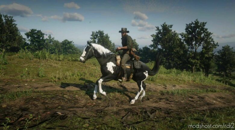 American Paint Horse for Red Dead Redemption 2