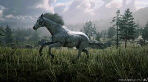 Appaloosa for Red Dead Redemption 2