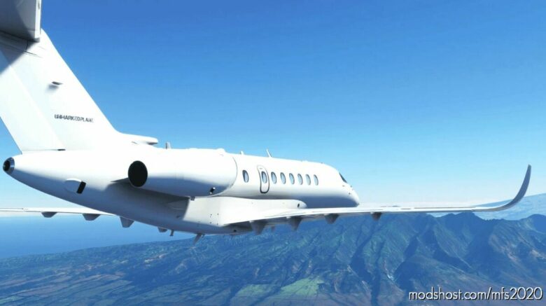 Unmarked Cessna Longitude for Microsoft Flight Simulator 2020