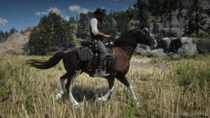 RDR2 Mod: Dutch Warmblood (Image #2)