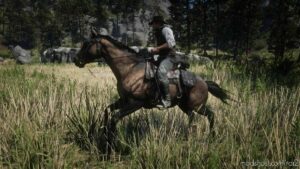 RDR2 Mod: Dutch Warmblood (Image #3)