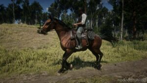 RDR2 Mod: Dutch Warmblood (Image #5)