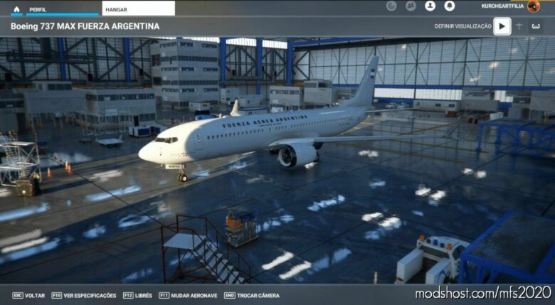 Fuerza Aérea Argentina for Microsoft Flight Simulator 2020