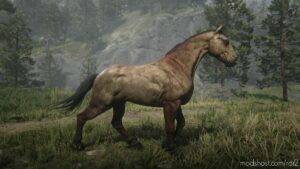 RDR2 Mod: Unused Trailer Horse To Replace Mahogany BAY (Image #2)