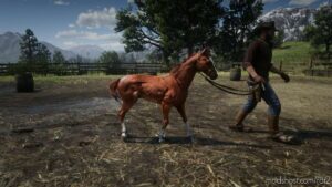 Foal for Red Dead Redemption 2