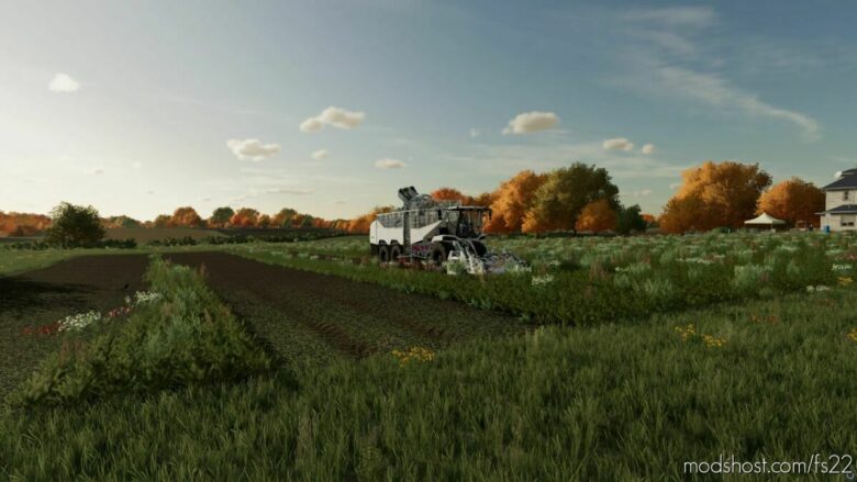 Grimme Rexor 6300+ for Farming Simulator 22