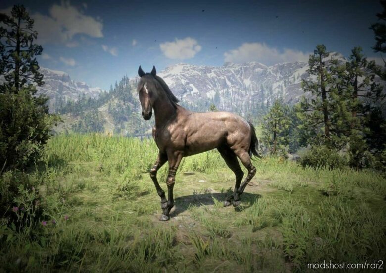 RED Dead Turkoman for Red Dead Redemption 2