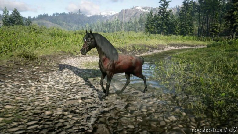 RED Dead Arabian for Red Dead Redemption 2