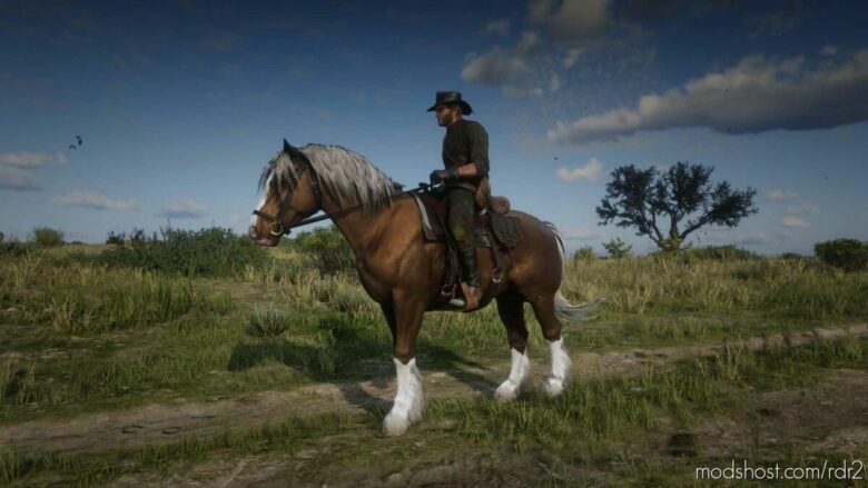 Welsh Pony And COB for Red Dead Redemption 2