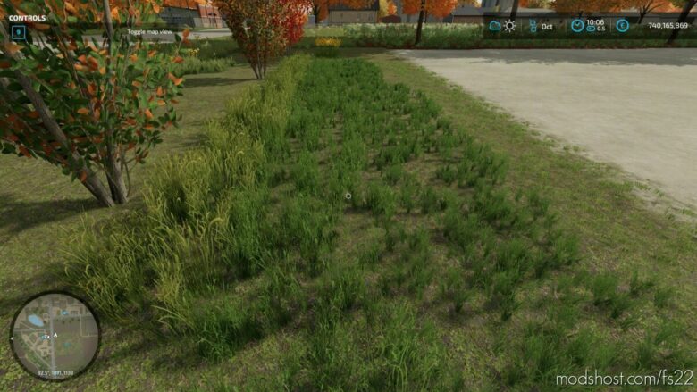 Grass In ALL States For Painting V1.0.2 for Farming Simulator 22
