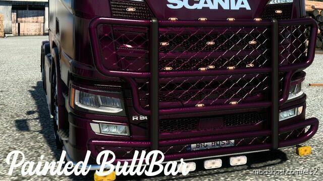 Painted Bull Bar v1.1 for Euro Truck Simulator 2