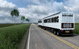 Skin Piso Movel Metalesp 2022 Rodonitcho Mods [1.44] for Euro Truck Simulator 2