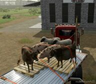 FS22 Placeable Mod: Ricci Slaughterhouse (Image #2)