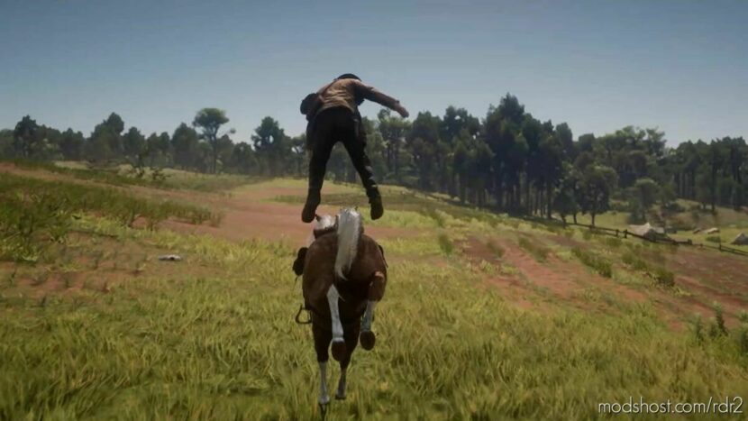 Forced Ragdoll In AIR And More (Controller Supported) for Red Dead Redemption 2