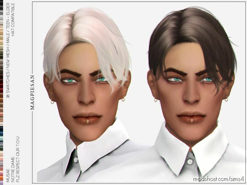Notre Dame Hair for The Sims 4