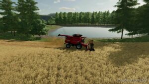Maypole Farm V1.1 for Farming Simulator 22