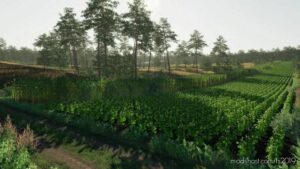 Dolina for Farming Simulator 19