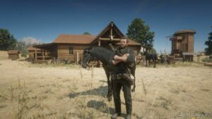Graphics Settings For RX 570 And GTX 1650 for Red Dead Redemption 2