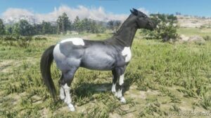 RDR2 Mod: Horse – Pinto Blue Fade (Image #2)