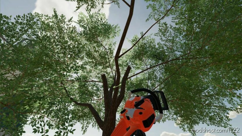 FS22 Mod: Long Reach Chainsaw (Featured)