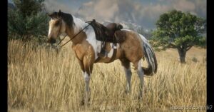MY Custom Horses for Red Dead Redemption 2