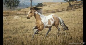 RDR2 Mod: MY Custom Horses (Image #2)