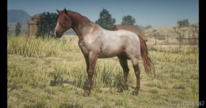 RDR2 Mod: MY Custom Horses (Image #3)