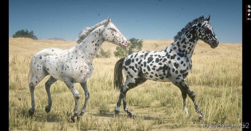 Realistic Leopard Appaloosas for Red Dead Redemption 2