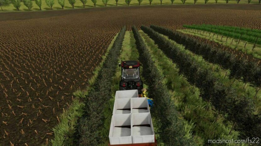 Vine Hand Harvest Trailer V1.1 for Farming Simulator 22
