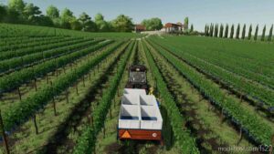 FS22 Mod: Vine Hand Harvest Trailer V1.1 (Image #6)