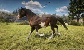 Horse Texture YTD Resource Guide for Red Dead Redemption 2