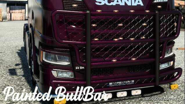 Painted Bull Bar v1.45 for Euro Truck Simulator 2
