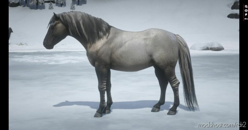 Norwegian Fjord Horse Pack for Red Dead Redemption 2
