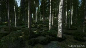 Wild River Forest for Farming Simulator 22