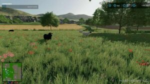 FS22 Map Mod: Belgique Profonde V1.0.0.2 (Featured)