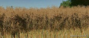 FS22 Realistic Mod: Real Plant Textures (Featured)