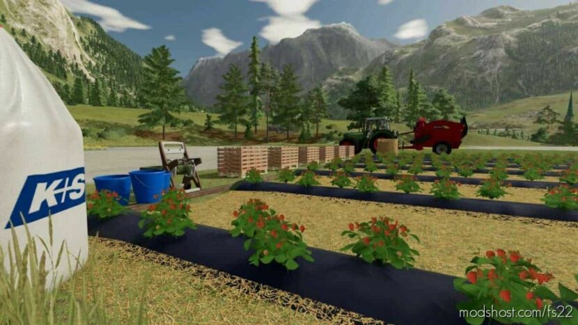 Open Field Strawberries for Farming Simulator 22