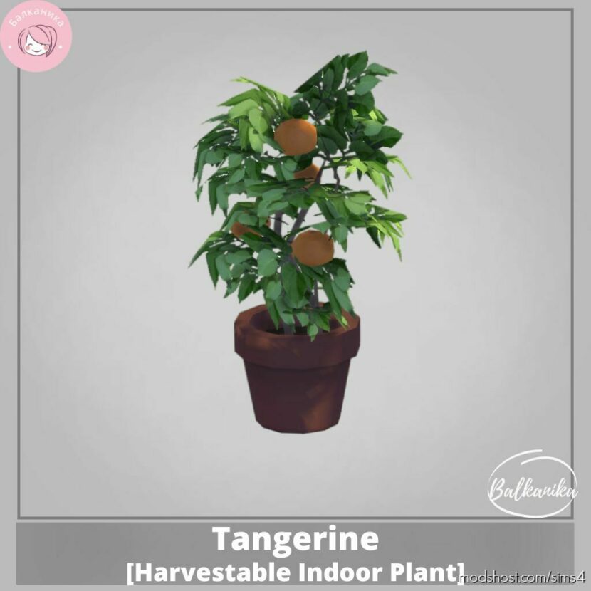 Tangerine [Harvestable Indoor Plant] for Sims 4