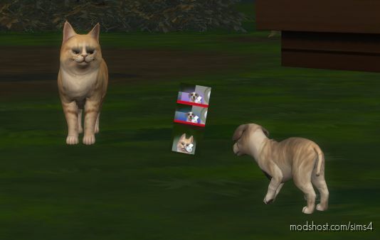 Mood Colors for Pets for Sims 4