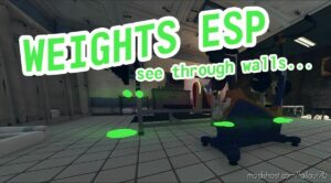 Weights ESP for Fallout 76