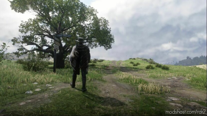MAN With NO Name Poncho Dark Retexture for Red Dead Redemption 2