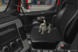 ATS Part Mod: Seat Companions Pack v1.0 (Image #3)