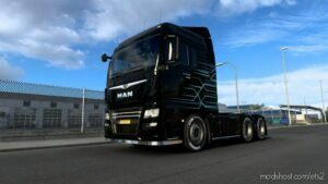 Bluelines Skin MAN TGX Euro6 for Euro Truck Simulator 2